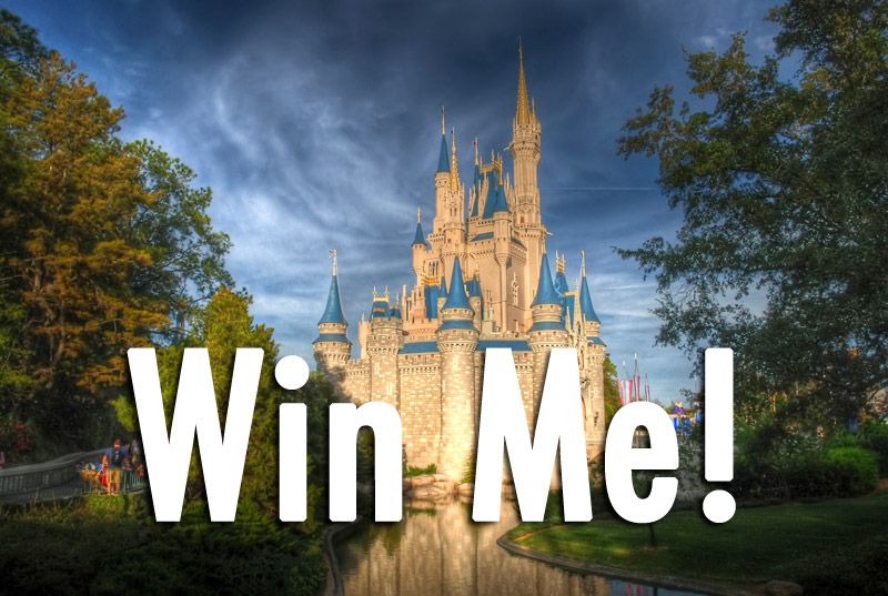 Win a trip to Disney in January with Flip Side Disney!